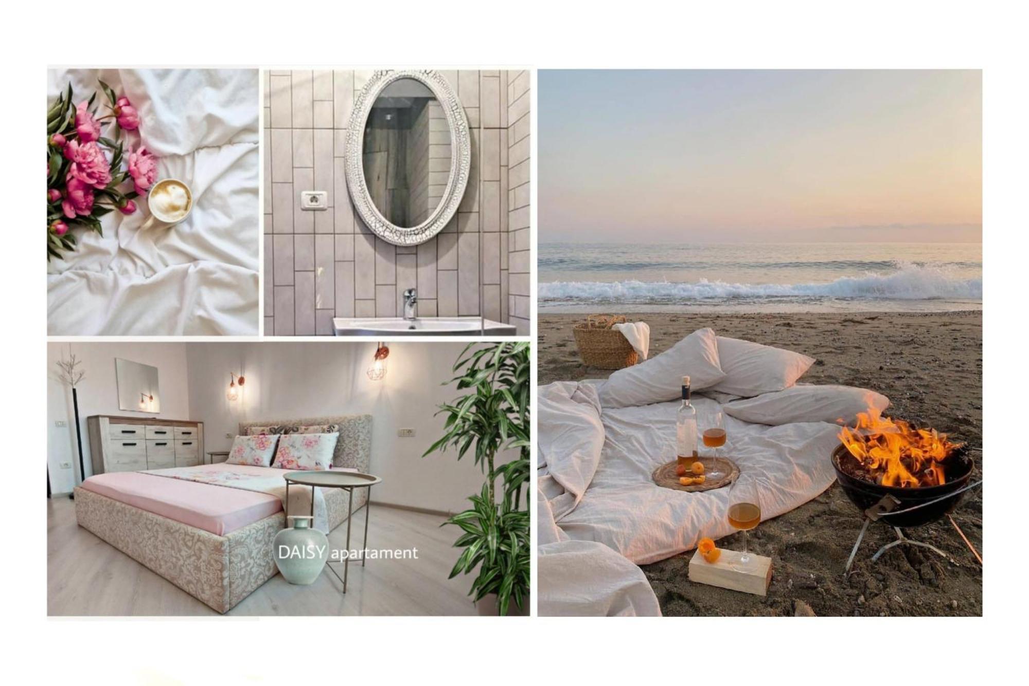 Daisy Apartament Navodari Dış mekan fotoğraf