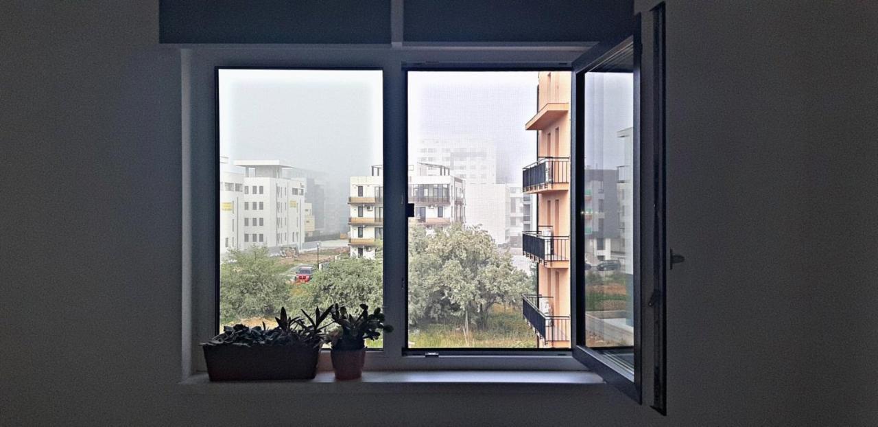 Daisy Apartament Navodari Dış mekan fotoğraf